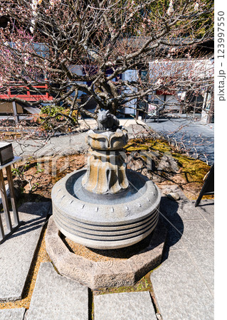 岩津天満宮（愛知県岡崎市）水掛け牛 123997550