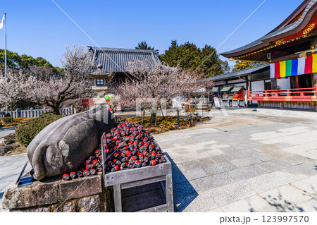 岩津天満宮(愛知県岡崎市)梅まつり 岩津天満宮(愛知県岡崎市)梅まつり 123997570
