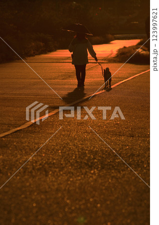 夕暮れ時にペットと散歩をする人 夕暮れ時にペットと散歩をする人 123997621