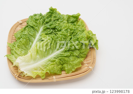 サンチュ・包菜(つつみな) サンチュ・包菜(つつみな) 123998178
