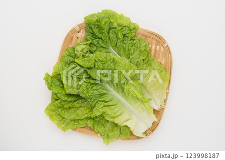 サンチュ・包菜(つつみな) 123998187