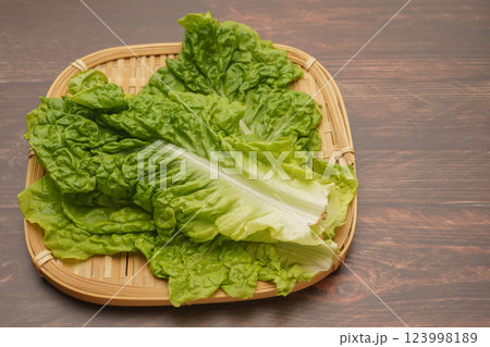 サンチュ・包菜(つつみな) 123998189