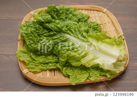 サンチュ・包菜(つつみな) 123998190