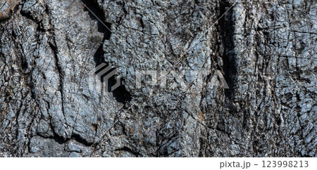 岩の壁の表面 岩の壁の表面 123998213