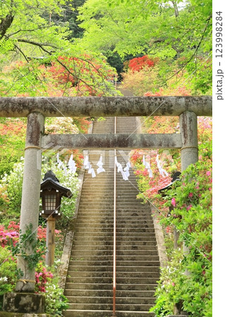 青梅市 愛宕神社のツツジ 青梅市 愛宕神社のツツジ 123998284