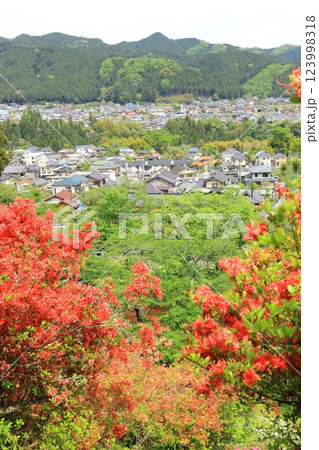青梅市　愛宕神社のツツジ 123998318