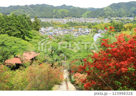 青梅市　愛宕神社のツツジ 123998328
