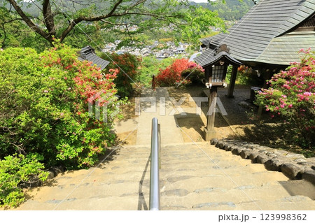 青梅市 愛宕神社のツツジ 青梅市 愛宕神社のツツジ 123998362