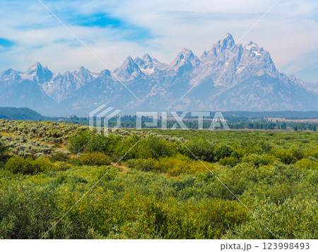グランドティトン国立公園 123998493