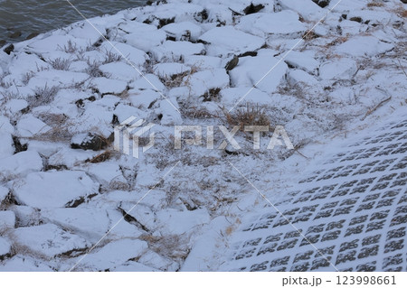 降り積もった雪と琵琶湖 降り積もった雪と琵琶湖 123998661