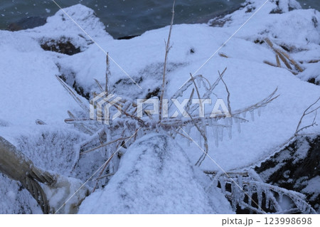 雪に埋もれた木の枝 123998698