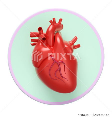 3d heart human realistic icon isolated. 3d illustration render 3d heart human realistic icon isolated. 3d illustration render 123998832