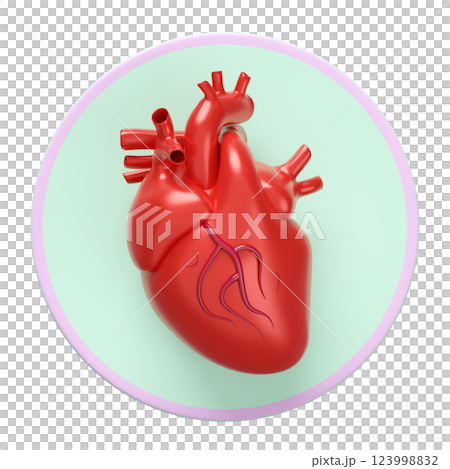 3d heart human realistic icon isolated. 3d illustration render 123998832