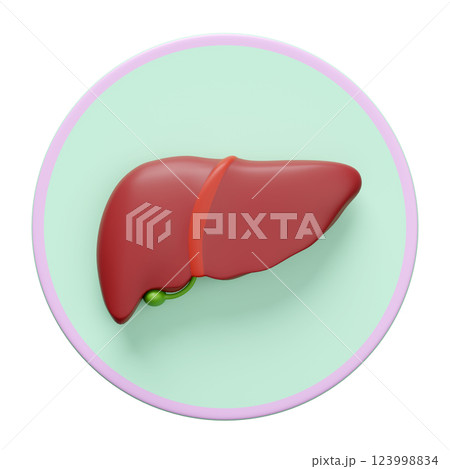 3d realistic human liver icon isolated. organs concept, 3d illustration render 123998834