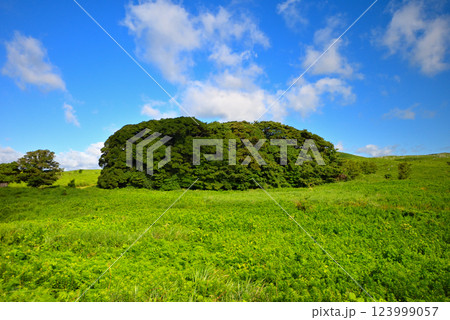 中国地方・秋吉台・秋吉台カルストロードから眺める長者ヶ森・山口県美弥市(1) 123999057