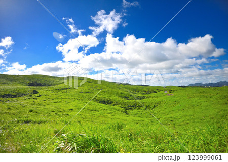 中国地方・秋吉台・カルストロード、長者ヶ森付近に広がるカルスト大地と草原の眺め・山口県美弥市(1) 123999061