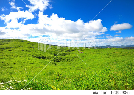 中国地方・秋吉台・カルストロード、長者ヶ森付近に広がるカルスト大地と草原の眺め・山口県美弥市(2) 123999062