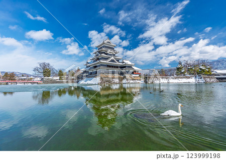 冬の松本城と白鳥 長野県松本市 冬の松本城と白鳥 長野県松本市 123999198