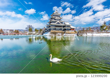 冬の松本城と白鳥 長野県松本市 冬の松本城と白鳥 長野県松本市 123999200