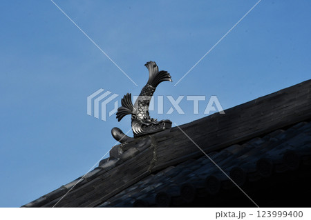 高崎城の鯱 123999400