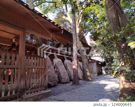 冬の熱田神宮 冬の熱田神宮 124000643