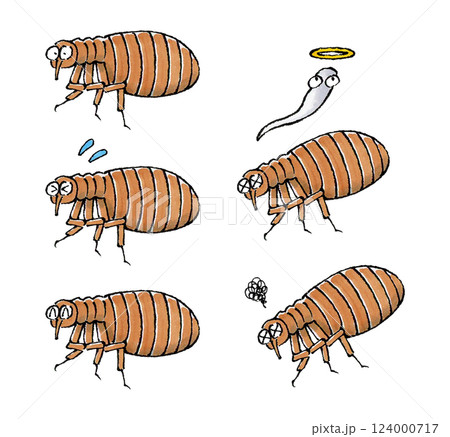 ノミセット 124000717