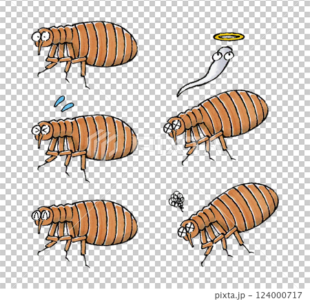 ノミセット 124000717