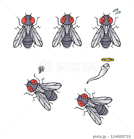 ハエセット 124000718