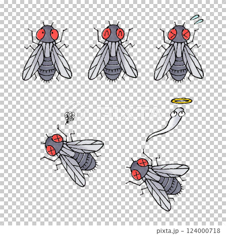 ハエセット 124000718