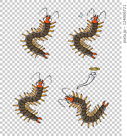 蜈蚣套裝 124000721