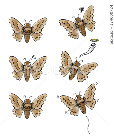 蛾セット 124000724