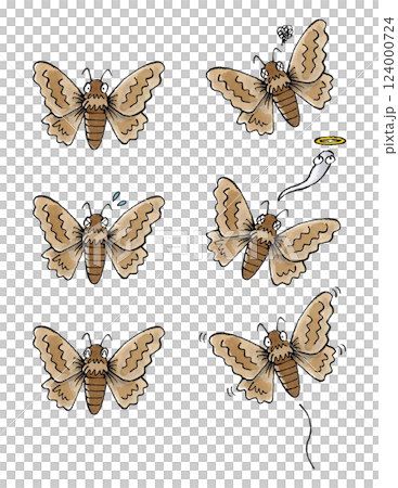 蛾套 蛾套 124000724