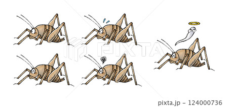 カマドウマセット 124000736