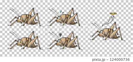 カマドウマセット 124000736