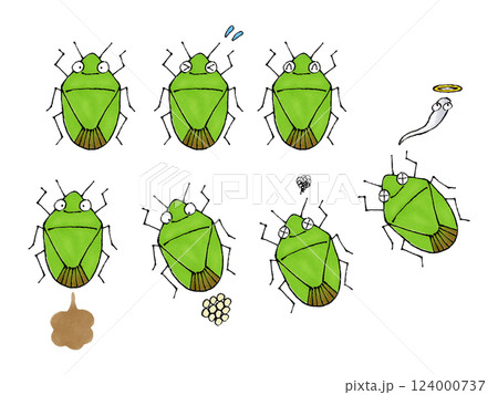 カメムシセット カメムシセット 124000737