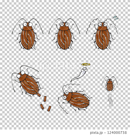 蟑螂套裝 124000738