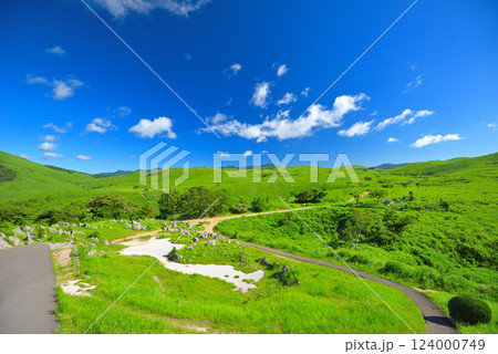 中国地方・秋吉台・秋吉台展望台から見下ろす、展望台の周囲の散策エリアの眺め・山口県美弥市(1) 124000749