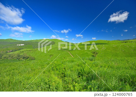 中国地方・秋吉台・秋吉台展望台の園地、散歩で手軽に出会える草原の風景・山口県美弥市(3) 124000765
