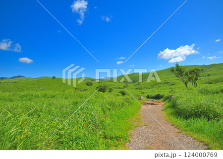 中国地方・秋吉台・秋吉台展望台の園地、散歩で手軽に出会える草原の風景・山口県美弥市(7) 124000769
