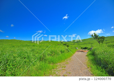 中国地方・秋吉台・秋吉台展望台の園地、散歩で手軽に出会える草原の風景・山口県美弥市(8) 124000770