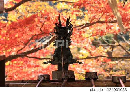 大山阿夫利神社・大山寺附近の紅葉の風景　神奈川県伊勢原市 124001088
