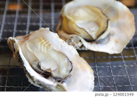 網の上の焼き牡蠣 124001349
