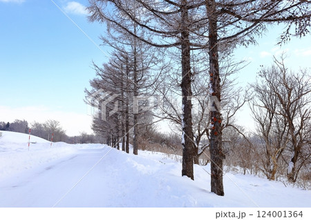 《北海道》冬のモエレ沼公園 モノクロの世界 《北海道》冬のモエレ沼公園 モノクロの世界 124001364