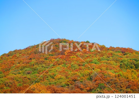 色づく尾根の風景3 色づく尾根の風景3 124001451