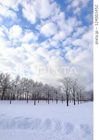 《北海道》冬のモエレ沼公園　モノクロの世界 124001452