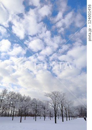 《北海道》冬のモエレ沼公園　モノクロの世界 124001456