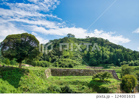 月山富田城跡 月山富田城跡 124001635