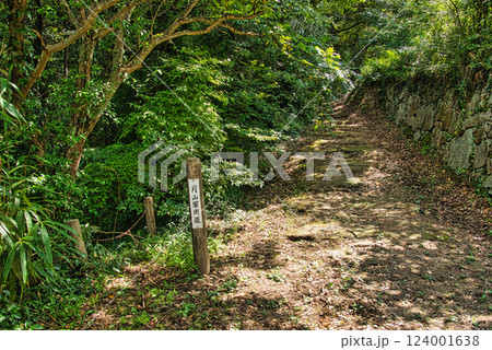 月山富田城跡 124001638