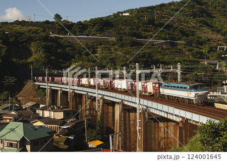 EF66-100番台の貨物列車 124001645