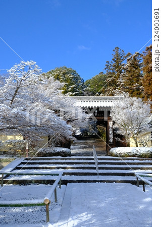 雪の粟生光明寺 124001691